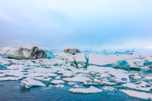 rechauffement climatique